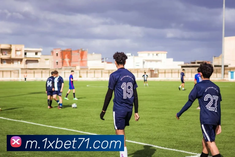 1xbet平台生态图